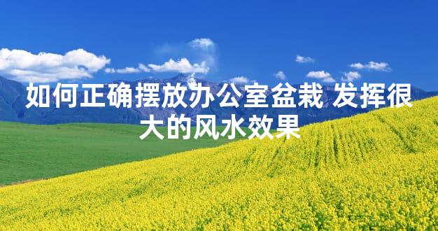 如何正确摆放办公室盆栽 发挥很大的风水效果